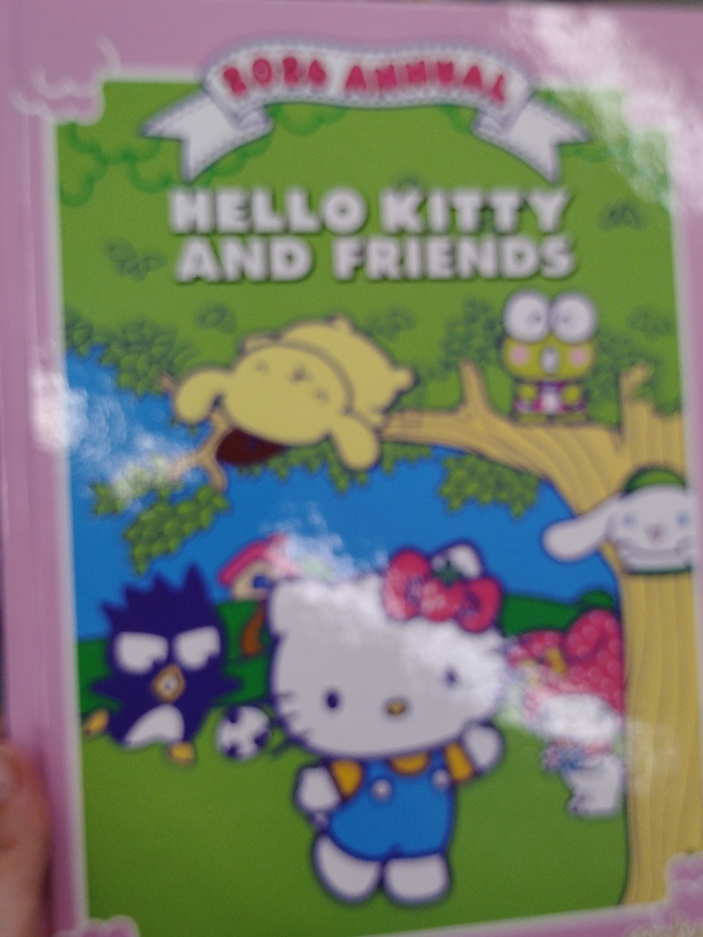 Sanrio Hello Kitty and Friends Green & Pink Cover